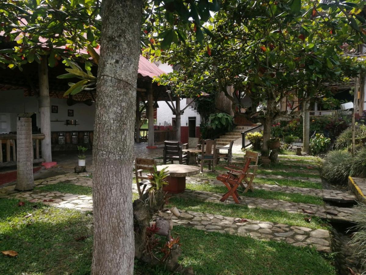 Finca Hotel Palmas Frente A Panaca Quimbaya Extérieur photo