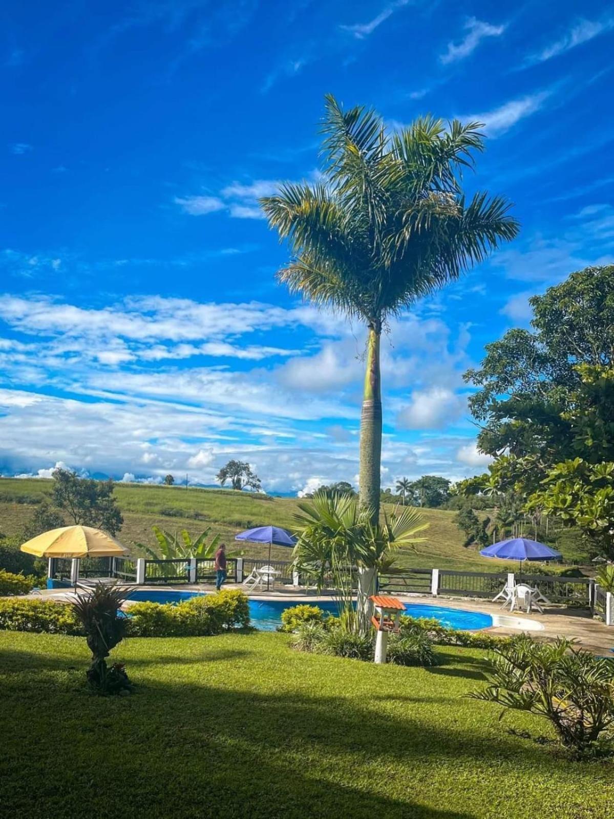Finca Hotel Palmas Frente A Panaca Quimbaya Extérieur photo
