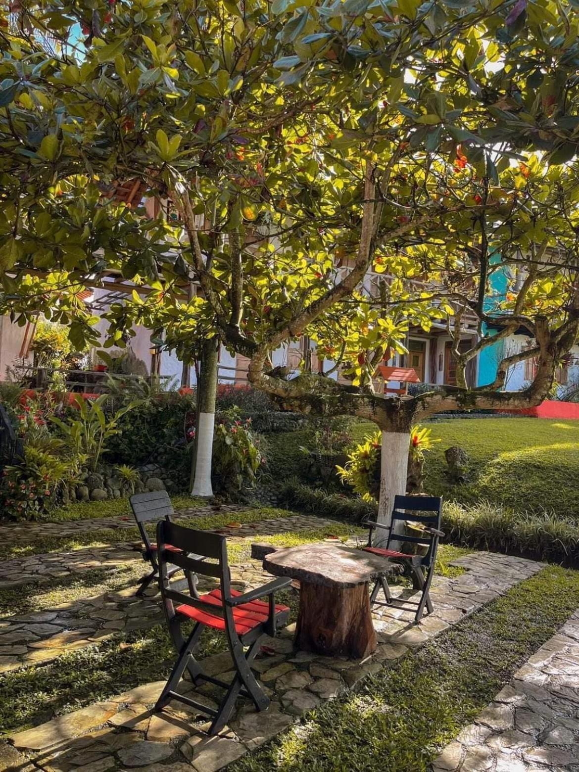 Finca Hotel Palmas Frente A Panaca Quimbaya Extérieur photo