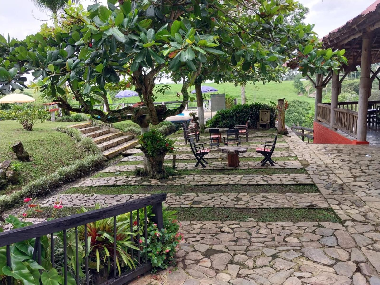 Finca Hotel Palmas Frente A Panaca Quimbaya Extérieur photo